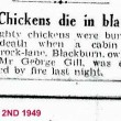 Chickens perish in Cabin fire Shorrock Lane Blackburn 1949